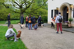 Hundetraining bei Hundetrainer Oliver Ludwig, Ihre Top Adresse für Hundetraining in Deutschland.